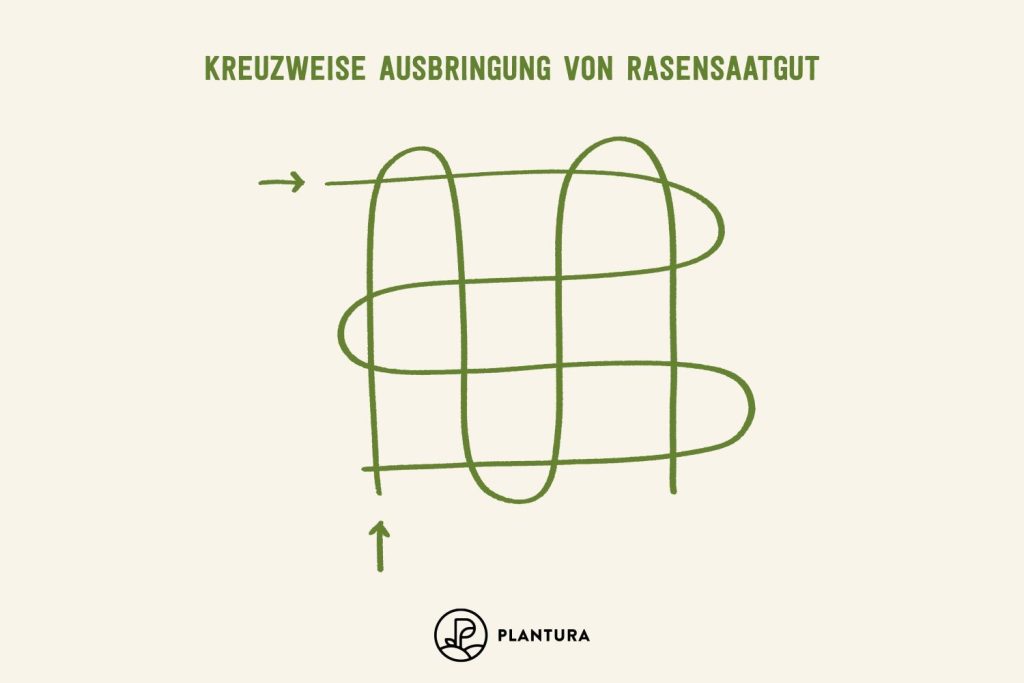Kreuzweise Ausbringung der Rasensaat als Anleitung