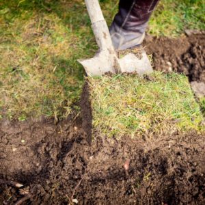 Rasen Ausbessern & Reparieren: Alternativen Zum Rasenerneuern