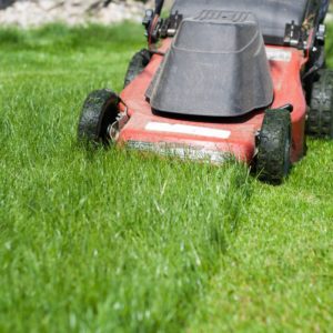 Rasen Mähen: Tipps & Tricks Rund Ums Rasenmähen