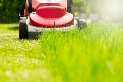 Rasen nach dem Winter: Erstes Mähen & Düngen