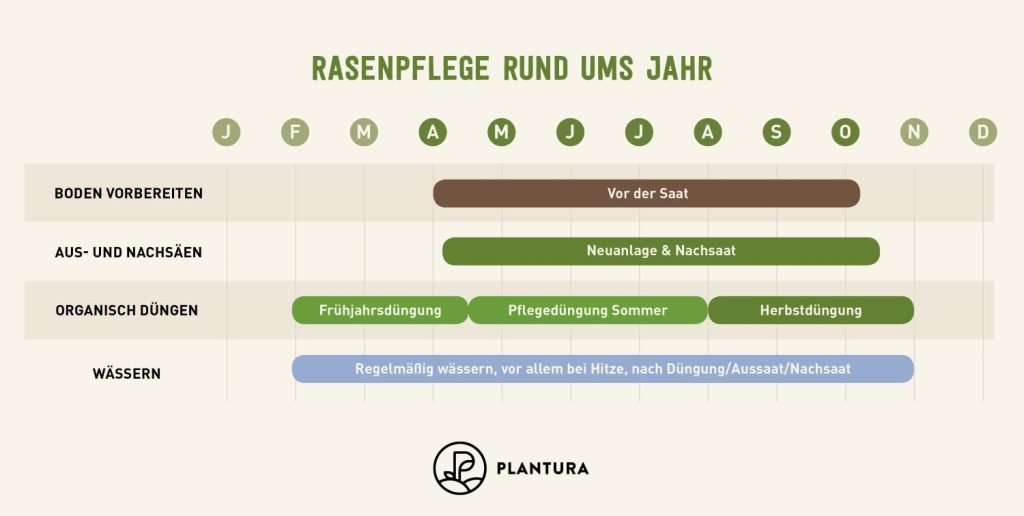 Rasenpflege im Jahr in der Übersicht