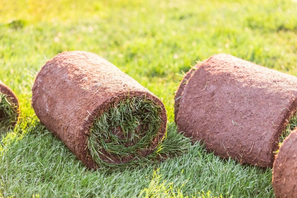 Rollrasen Rollen liegen im Gras