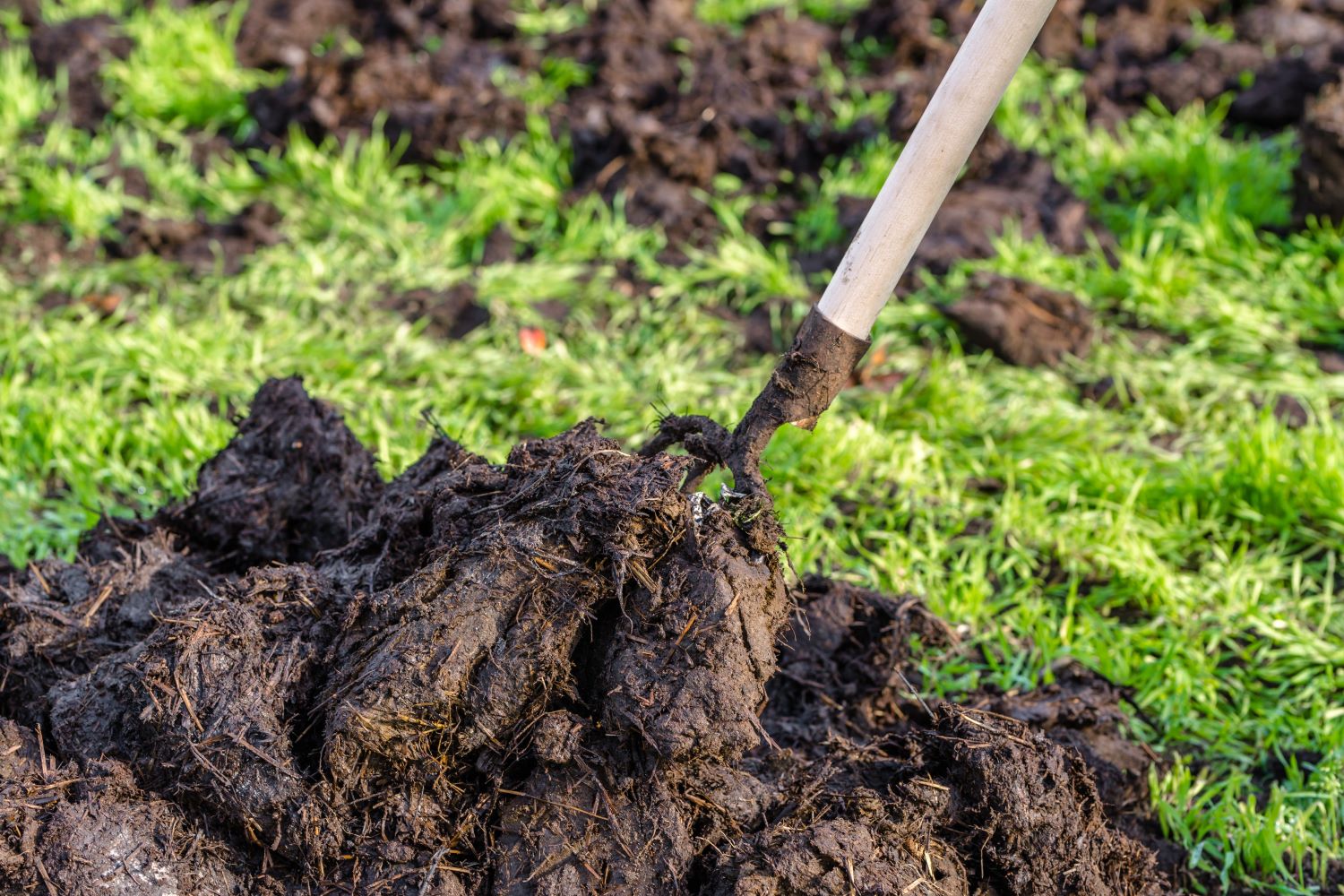 Giftige Schwermetalle im Garten durch Dünger? - Plantura