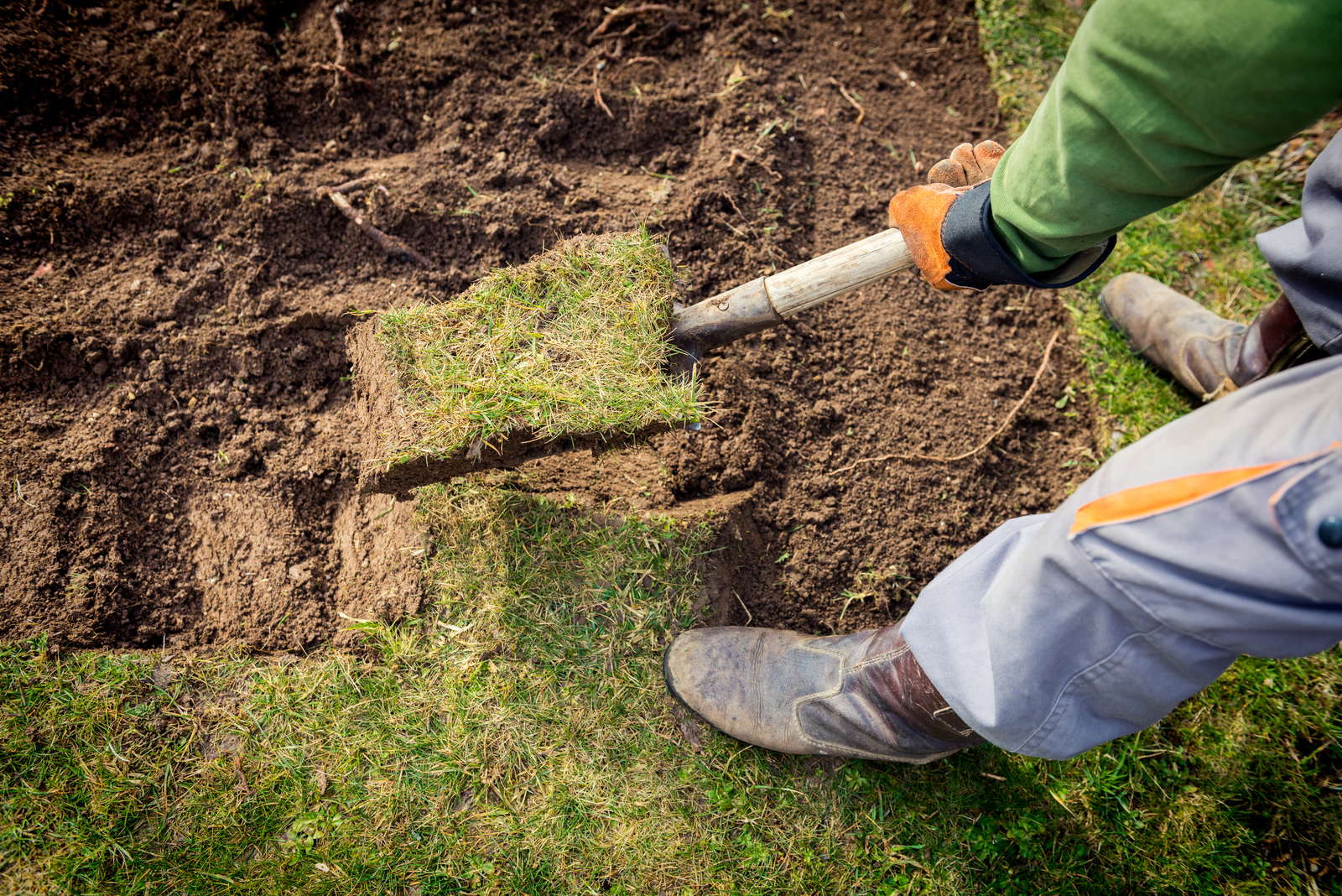 Rasen ausbessern & reparieren Alternativen zum Rasenerneuern Plantura