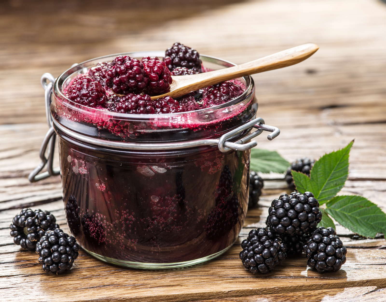 Brombeeren Tipps zum Pflanzen, Vermehren & Co. Plantura