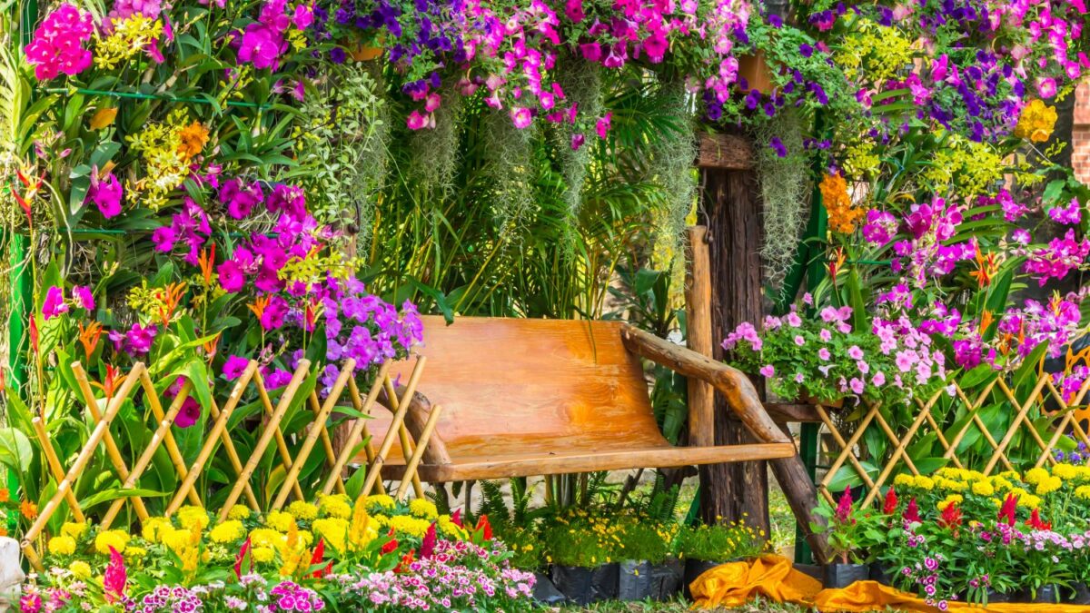 Die 10 schnsten Duftpflanzen fr Garten & Balkon - Plantura