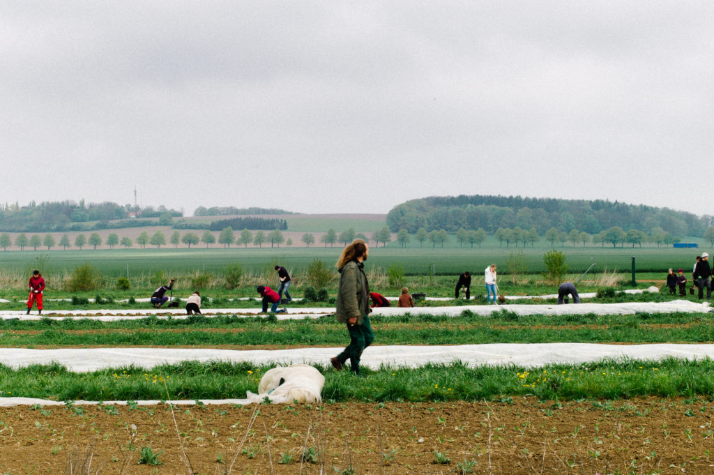Solawi Hannover solidarische Landwirtschaft