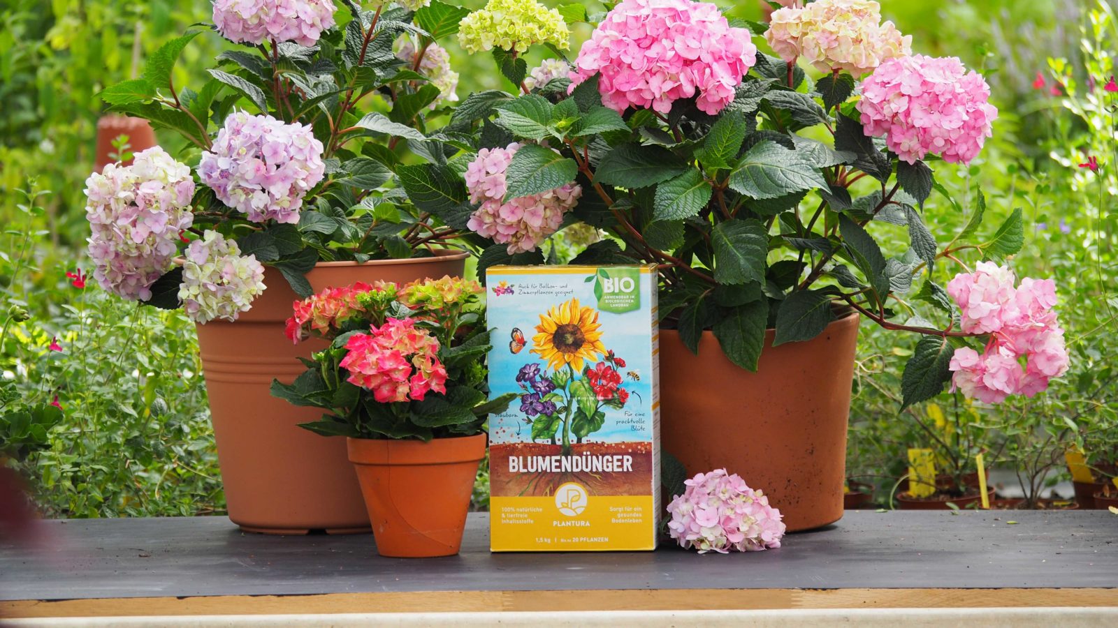 Düngen mit Plantura Anleitungen & ExpertenTipps Plantura