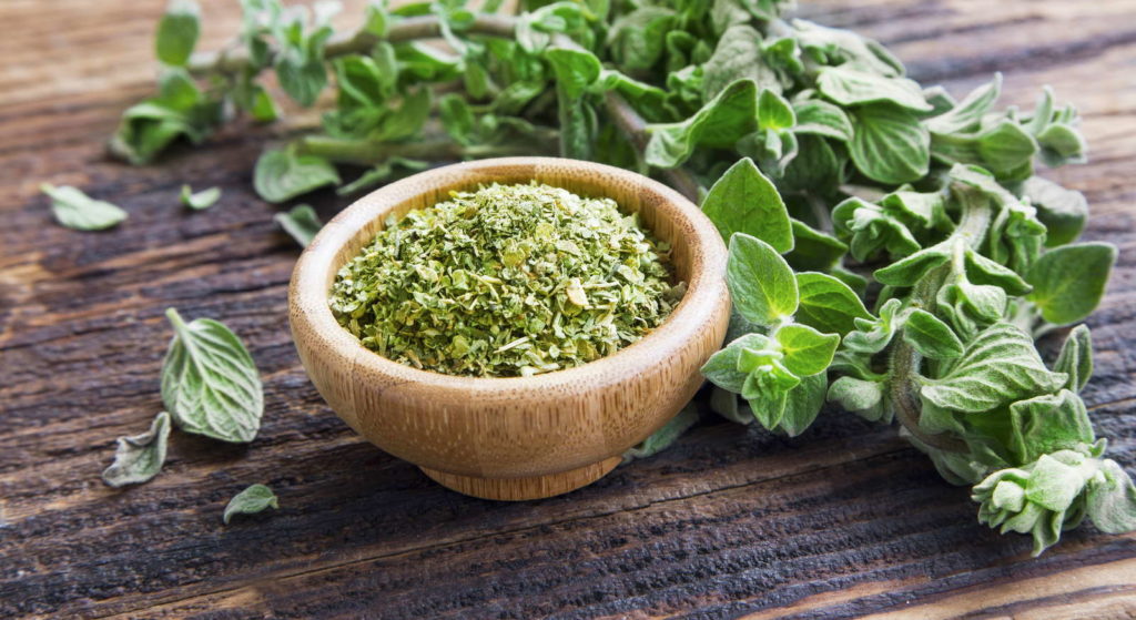Frischer und getrockneter Oregano auf Holz