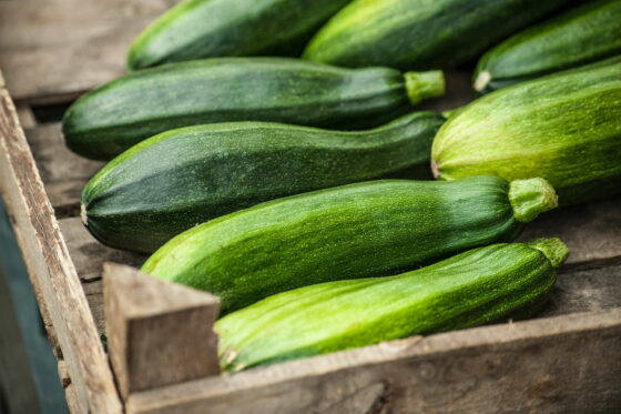 10 Tipps für eine gigantische Zucchiniernte