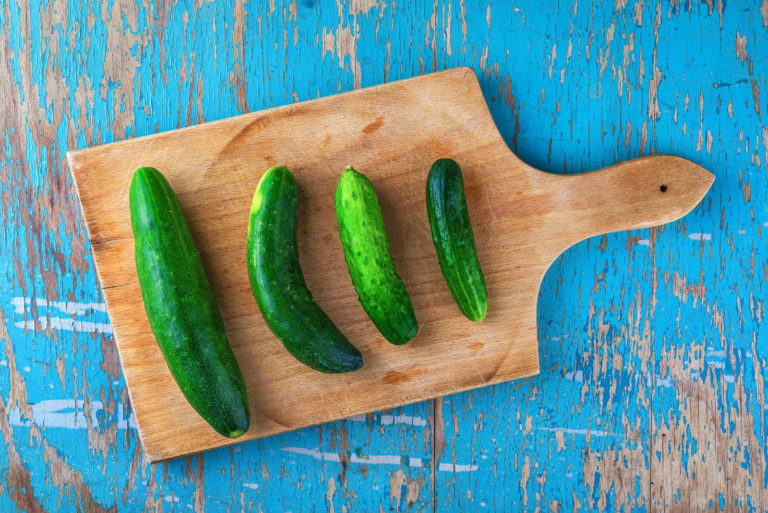 10 Tipps für die besten Gurken aus dem Garten Plantura