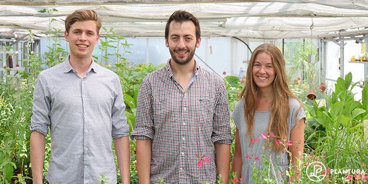 Team Plantura