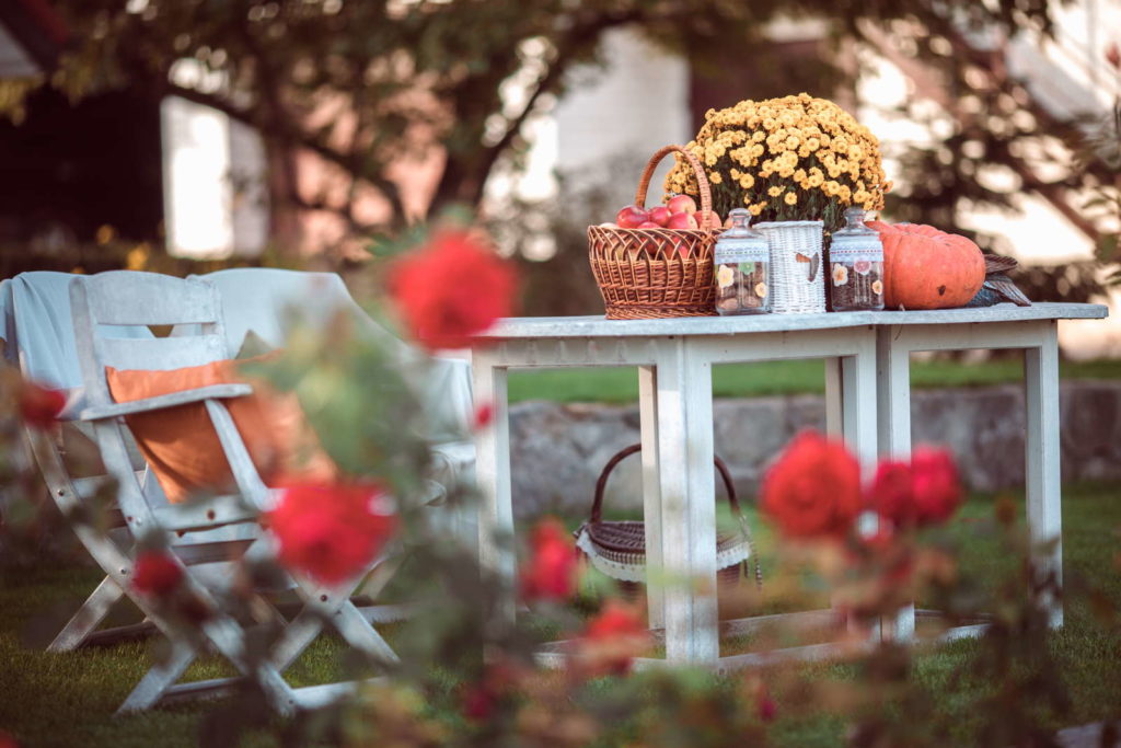Get Garten Herbst Dekoration PNG