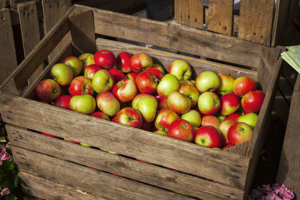 Lagerung von Äpfeln