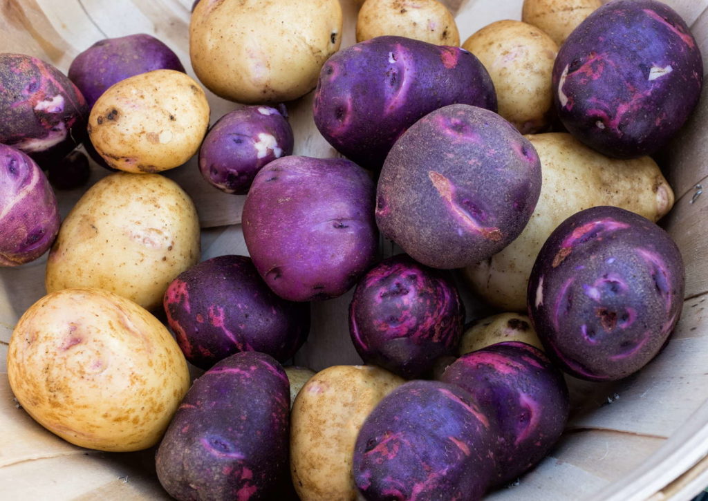 12 Violette Gemusesorten Die Sie So Noch Nicht Gesehen Haben Plantura