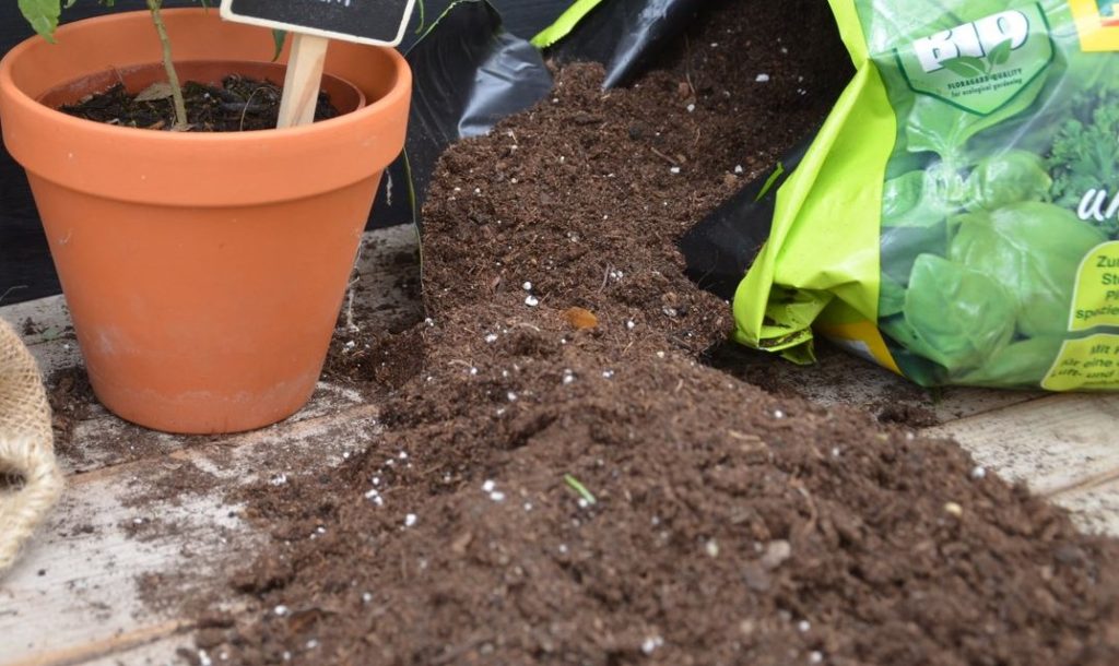 Erde und Blumentopf nah auf Holz