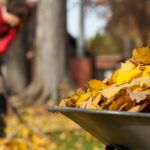 Herbstputz im Garten: Unsere Top 10 Tipps