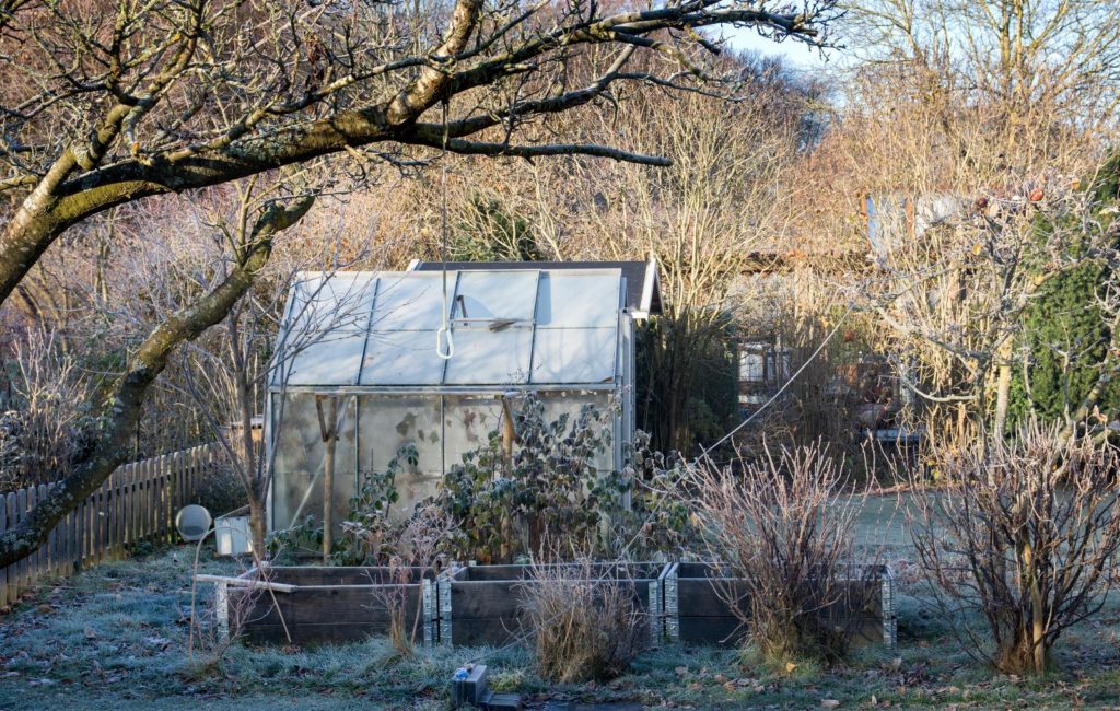 Gewächshaus im Garten im Winter
