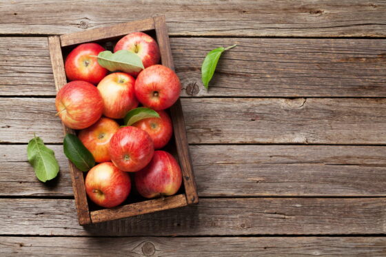 Äpfel richtig ernten & lagern: Hilfreiche Tipps