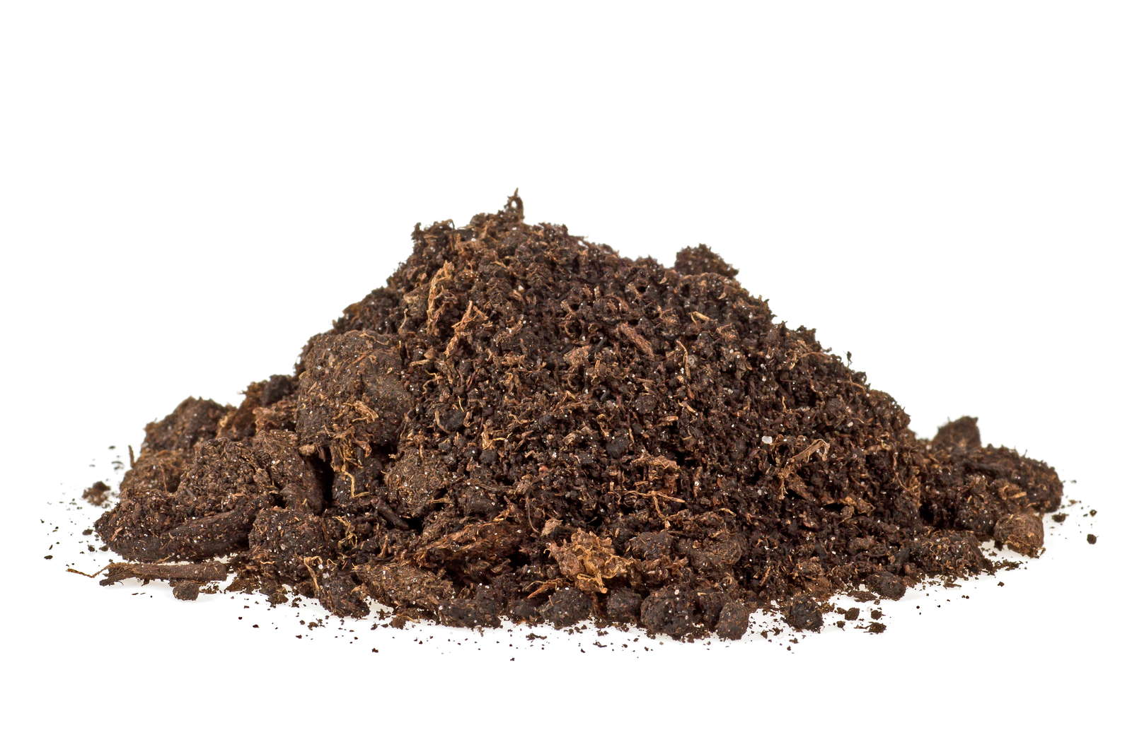 Humus Definition, Wirkung & alles Wichtige Plantura