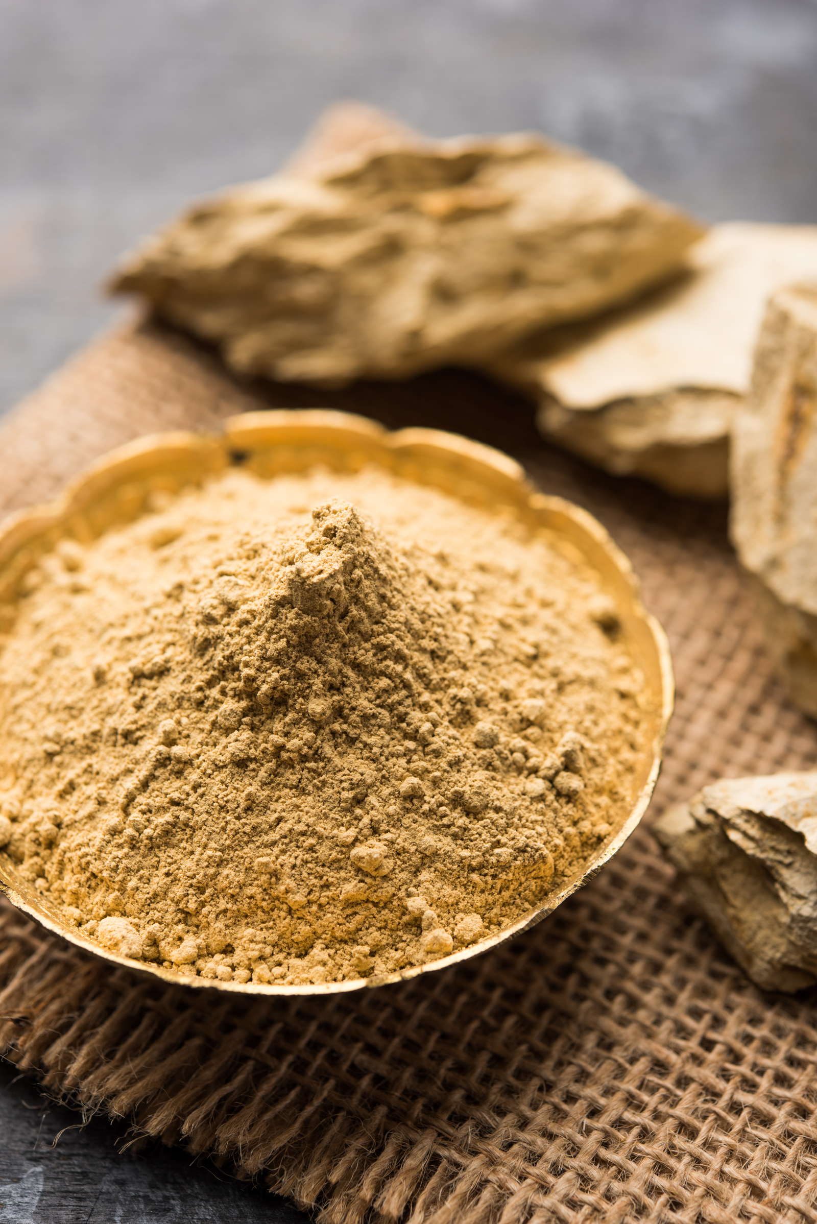 Humus kaufen Kosten & Bezugsquellen Plantura