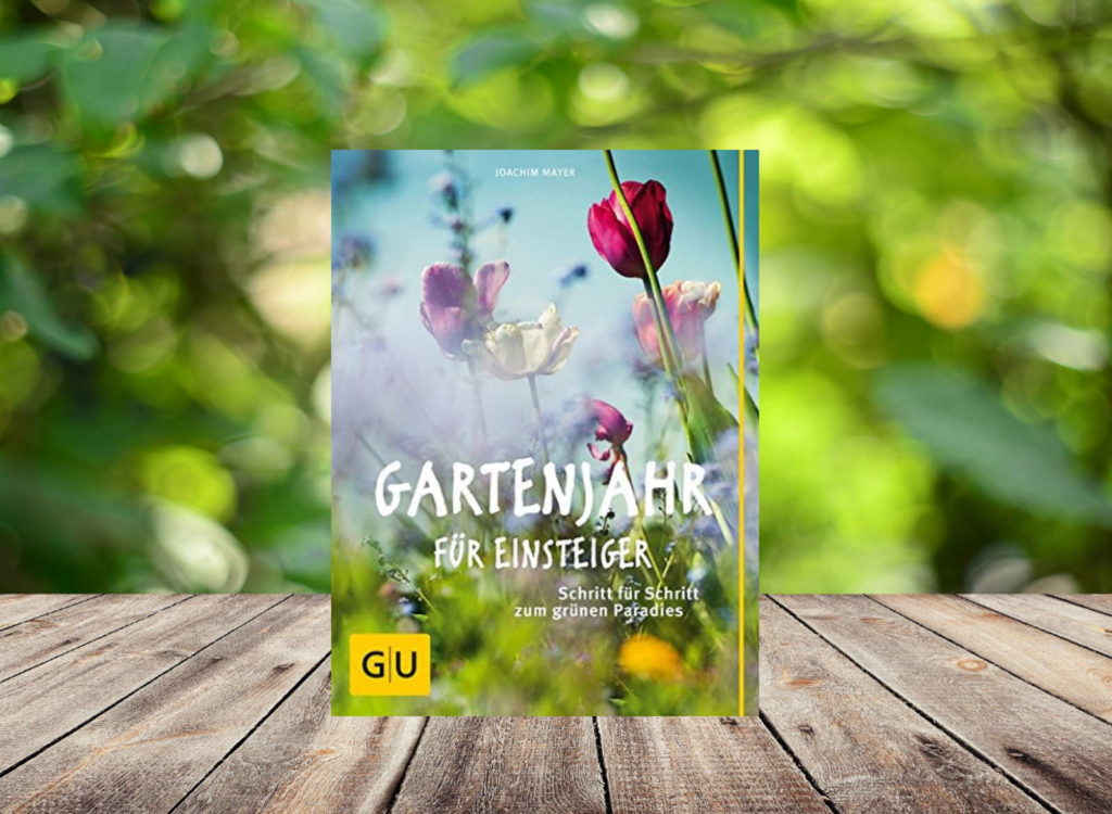 Buch auf Holztisch