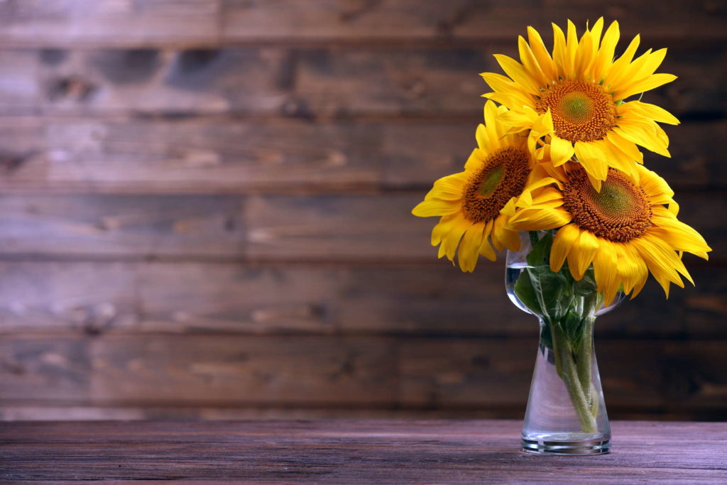 Sonnenblumen in Vase durchsichtig auf Holz