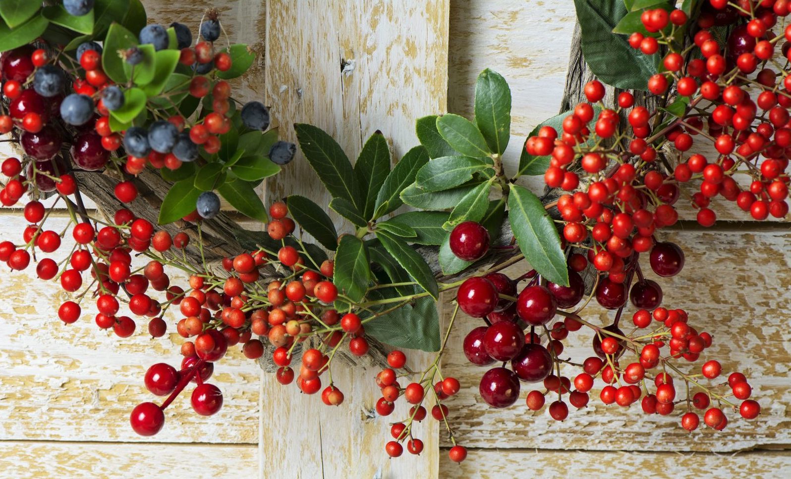 Die 10 besten Weihnachtspflanzen & wie man sie richtig pflegt Plantura