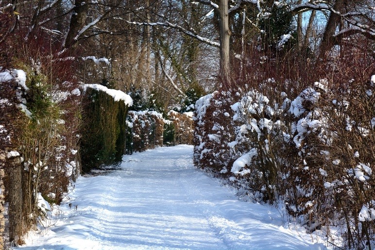 Straße im Winter mit Schnee