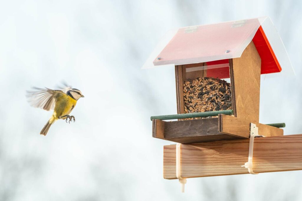 Selbst gebautes Vogelfutterhaus aus Holz