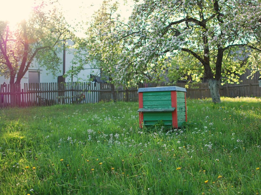 Ein Bienenstock im grünen Garten