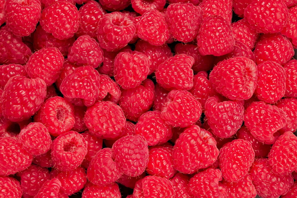 Himbeeren
