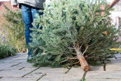 Weihnachtsbaum recyceln: So schenken Sie Ihrem Baum ein zweites Leben
