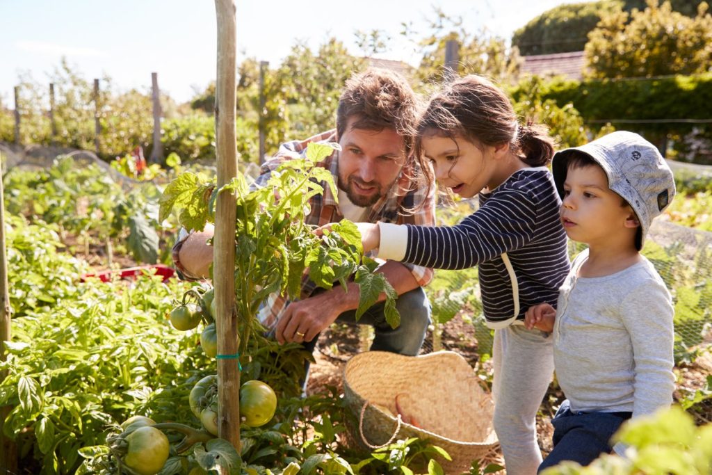 Vater gärtnert mit Kindern