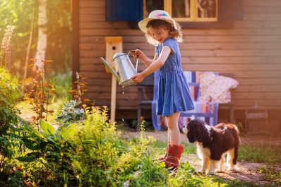 Kinder- und tiersichere Pflanzen für den Garten: Unsere Top 10