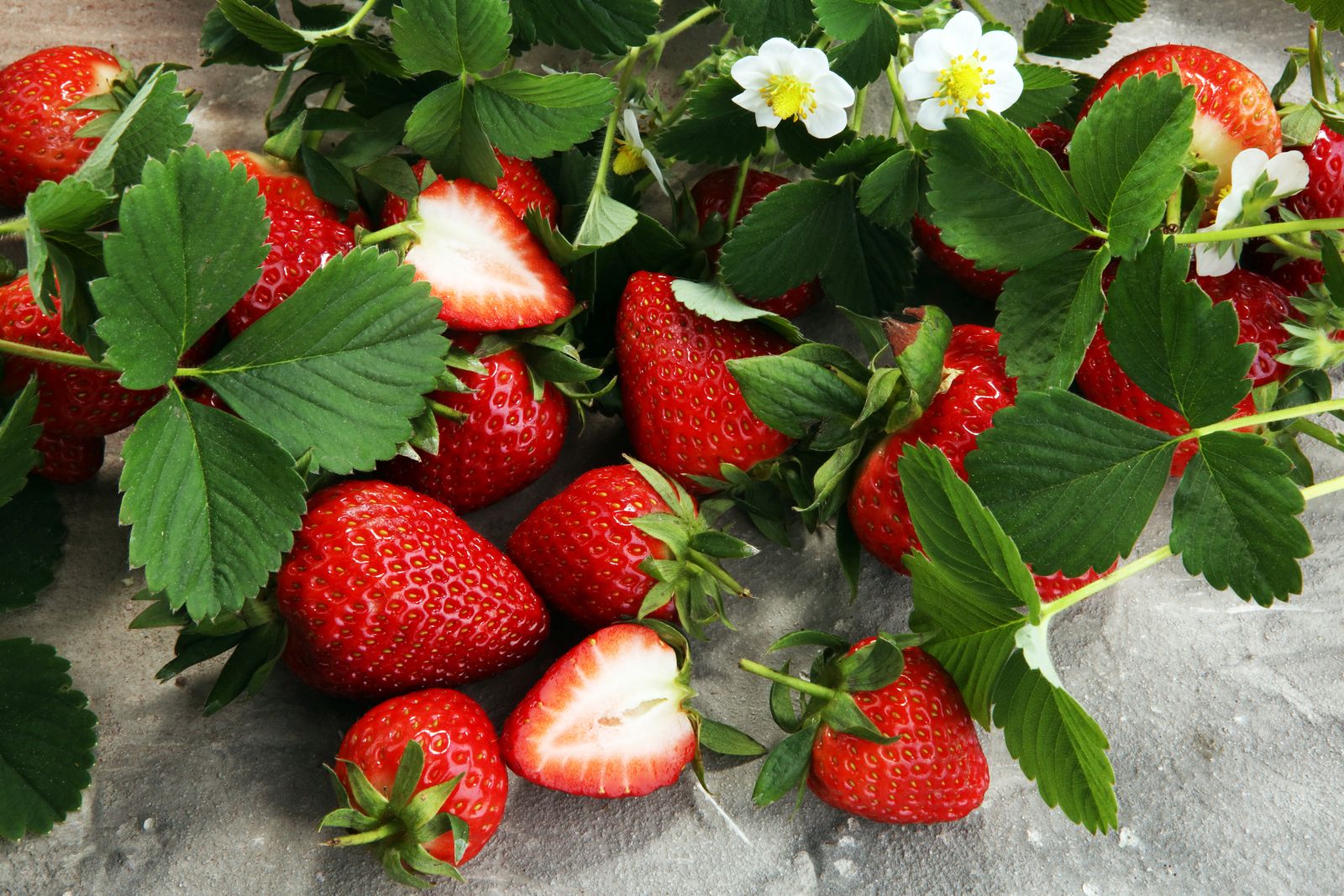44+ Erdbeeren Auf Balkon Pflanzen, Erdbeeren lassen sich im topf auf