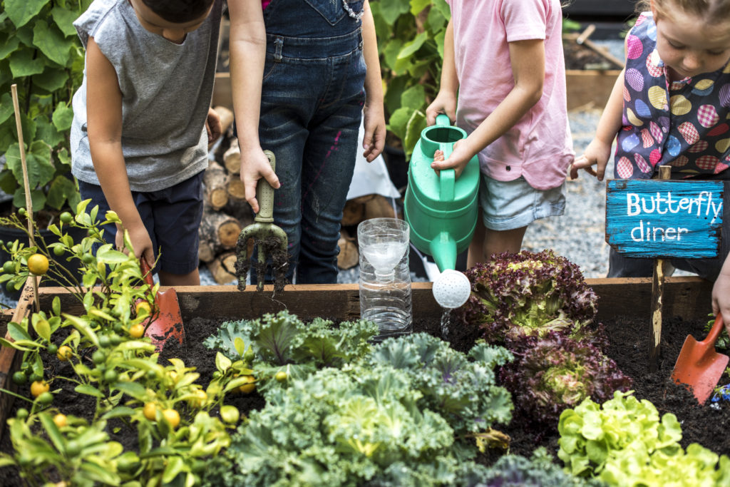 Kinder gärtnern vor einem Beet