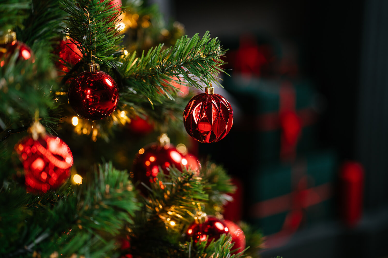 Weihnachtsbaum recyceln: So schenken Sie Ihrem Baum ein zweites Leben