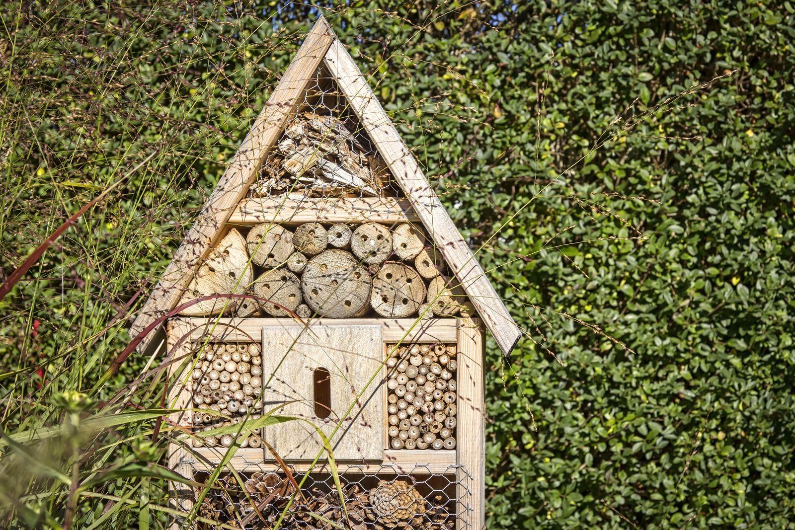 Insektenfreundlicher Garten Tipps für mehr Artenvielfalt Plantura