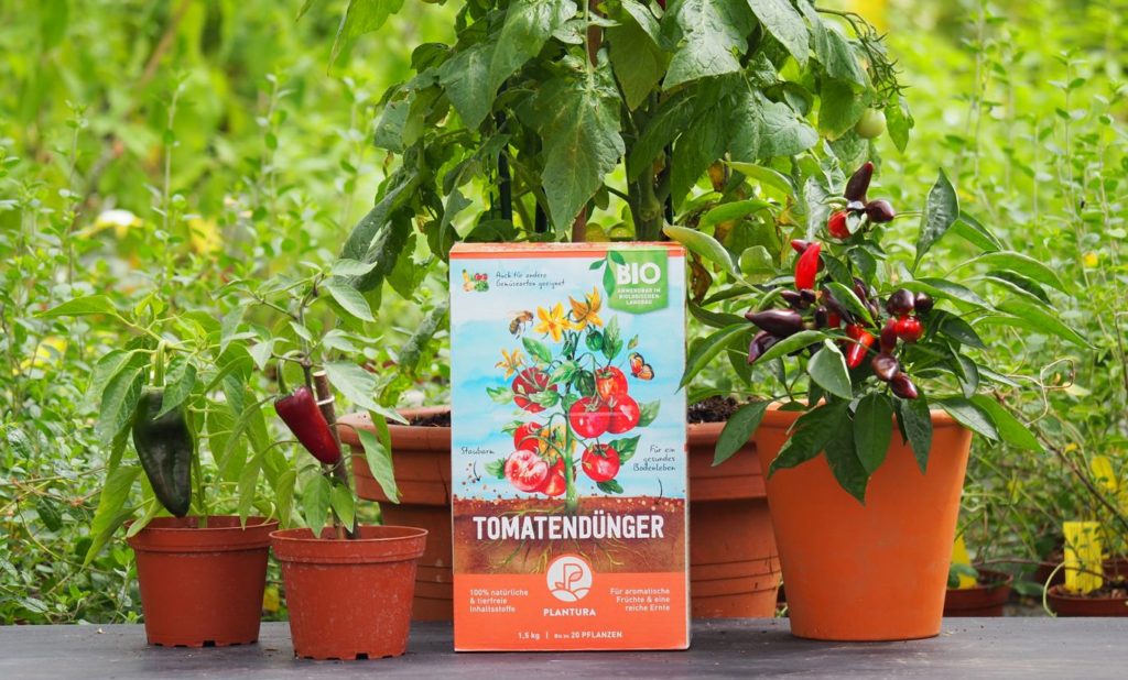 Düngerbox mit Tomatenpflanzen