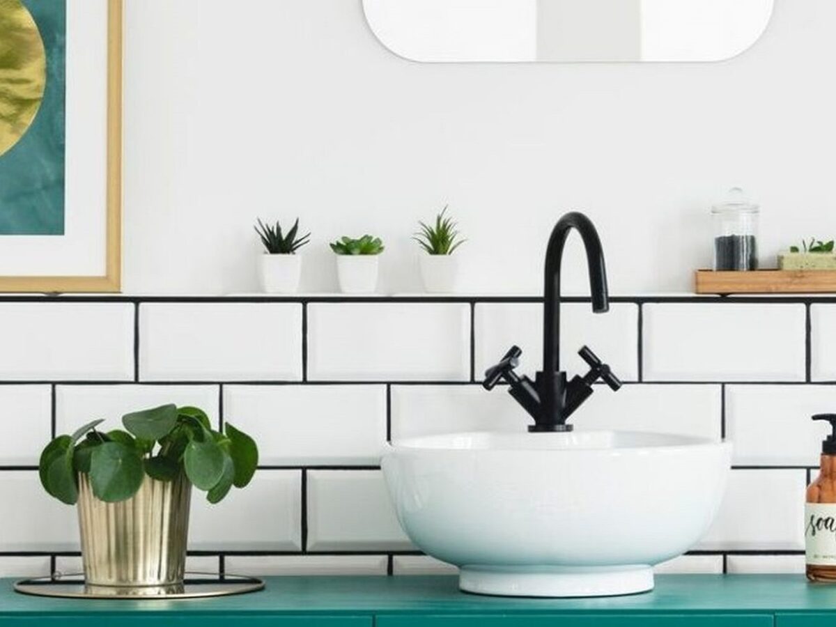 Pflanzen frs Bad: 10 Arten fr die Wellnessoase - Plantura