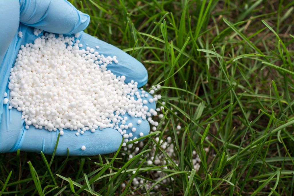 Hand verteilt weißen Dünger auf Gras