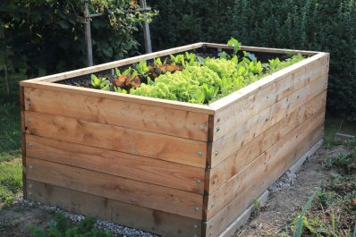 Hochbeet anlegen: Anleitung & Tipps