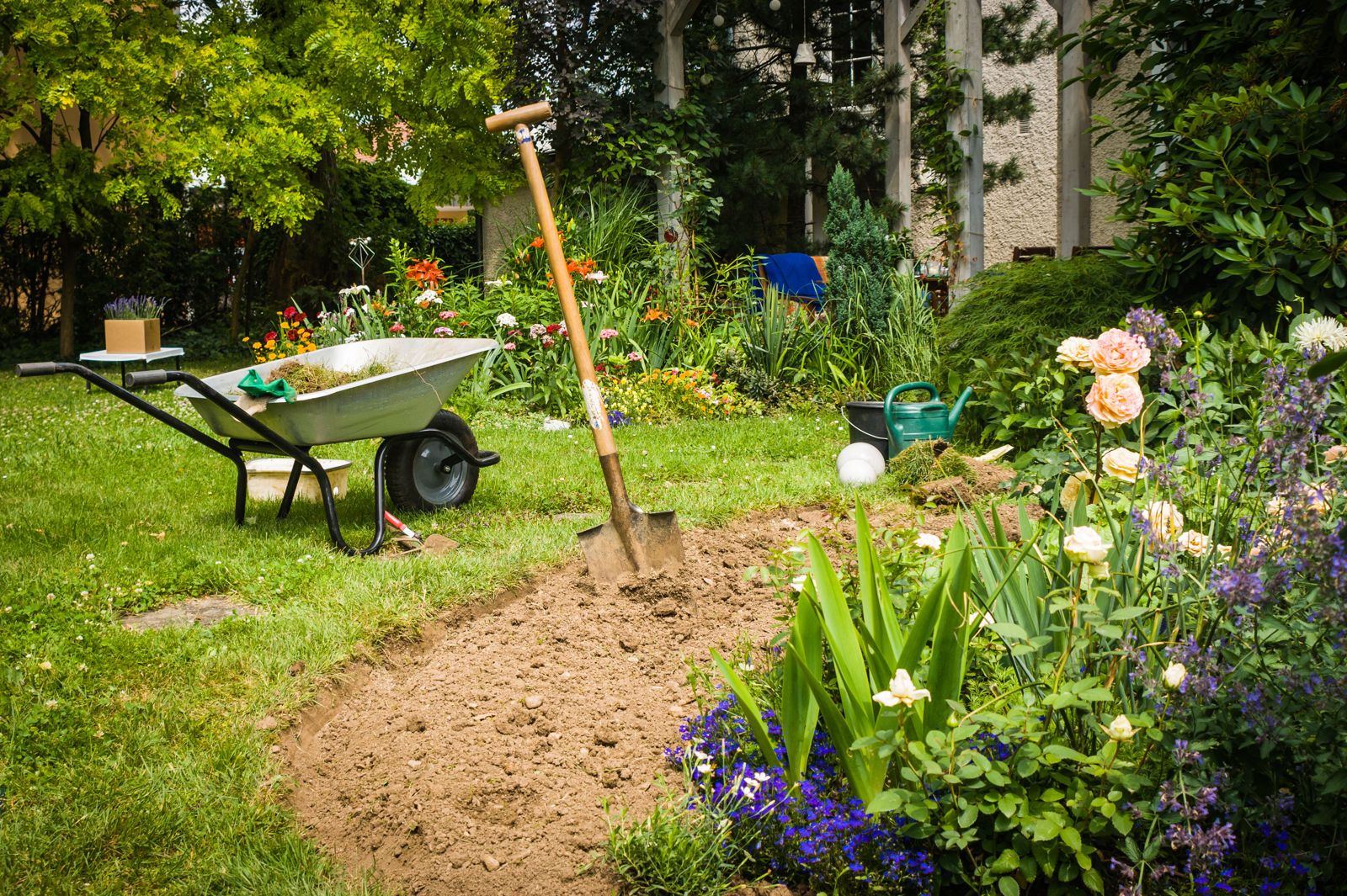Insektenfreundlichen Garten gestalten Plantura