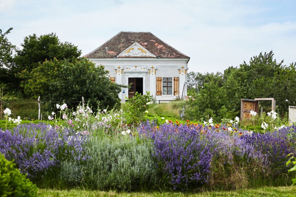 Blütenpracht mit Pavillion