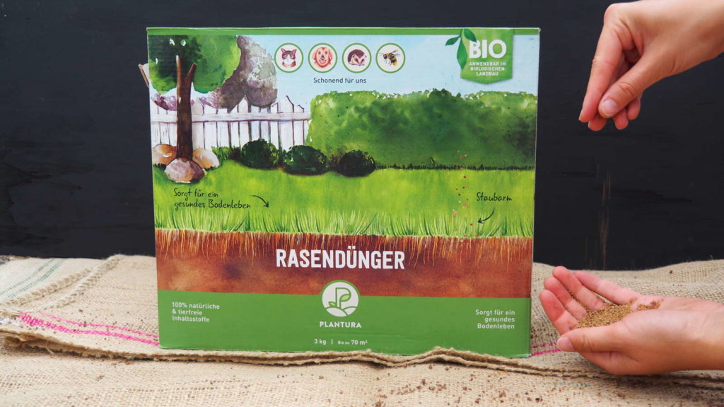 Rasen düngen im Frühjahr Die erste Düngung des Jahres Plantura