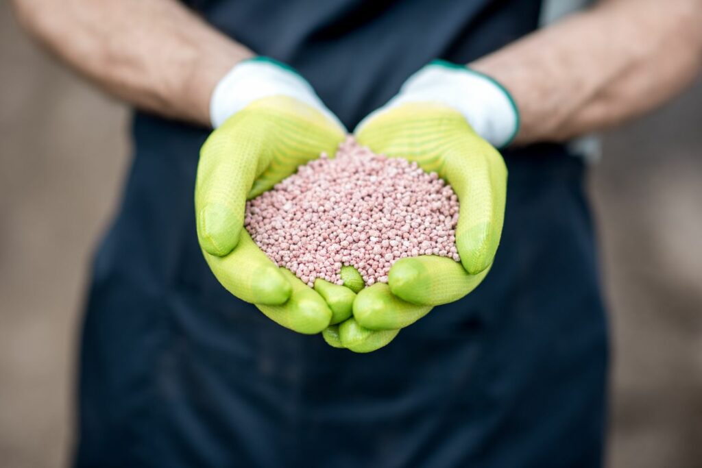 Lavendel düngen & kalken Tipps zum Plantura