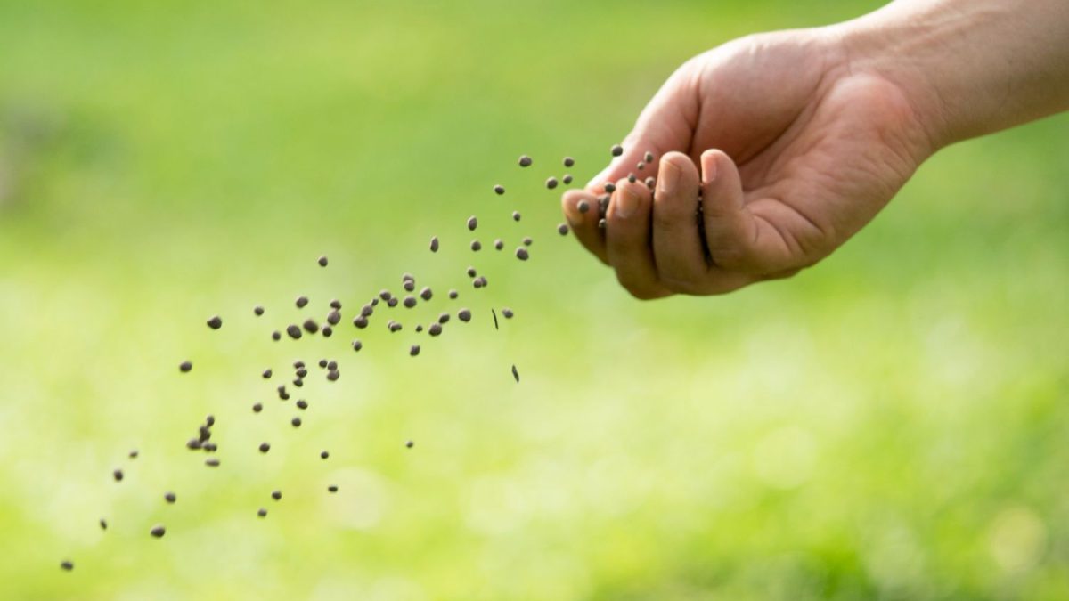 Organischer Dnger: Definition & Vorteile - Plantura