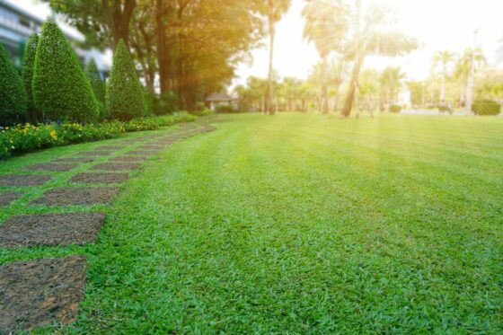 Rasen düngen im Frühjahr: Alles über die erste Düngung im Frühling