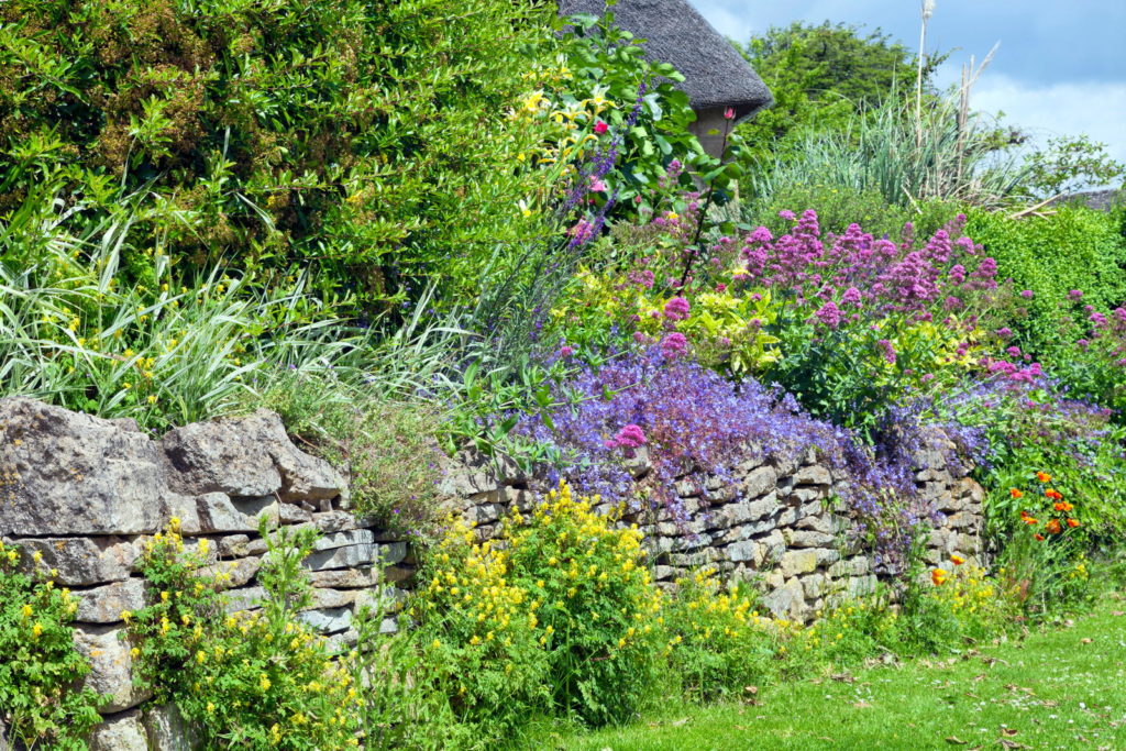 Bunte Blumen wachsen über einer Mauer